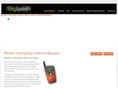 remotetrainers.com.au