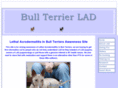 bullterrier-lad.com