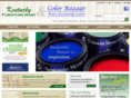 colorbazaar.com