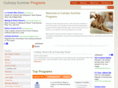 culinarysummerprograms.com