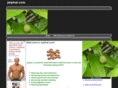 jaiphal.com