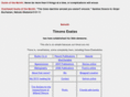 timonsesaias.com