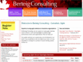 berteigconsulting.com
