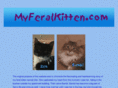 myferalkitten.com