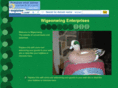 wigeonwing.com