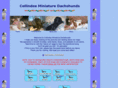 collindox.com