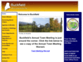 townofbuckfield.com