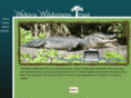 wwt-cso.com