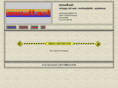 mvsoft.net