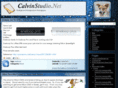 calvinstudio.net
