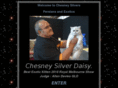 chesneysilvers.com