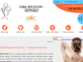 chiropraticien-bauduin-deroisy.com