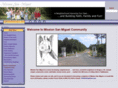 sanmiguelneighborhood.com