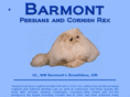 barmontcat.com