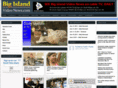 bigislandvideonews.com