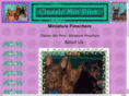 classicminpins.com