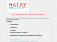 hatayambalaj.com