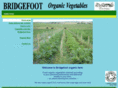 bridgefootorganics.co.uk