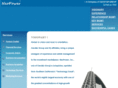 ceostar.com
