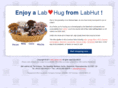 labhug.com