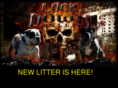 lockdownbullz.com