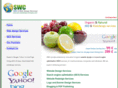 seo-webdesign-company.com