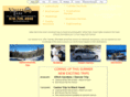 winterparktaxi.com