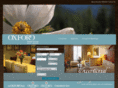 baneyhotels.com