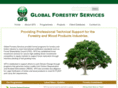gfsinc.biz