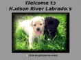 hudsonriverlabradors.com