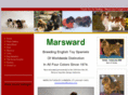 marsward.com