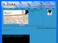 netricksnow.com