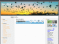 novabird.com
