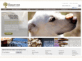 paisleypup.com