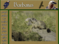 barbatus.net