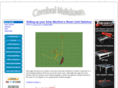 cerebralmeltdown.com