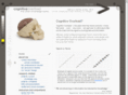 cognitiveoverload.com