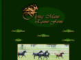 flyingmane.com