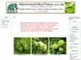 mammothnuttrees.com