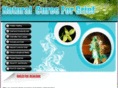 naturalgriefcure.com