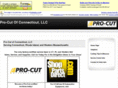 pro-cutofct.com