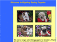 ripplingspringpuppies.com