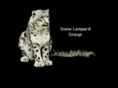 snowleopard-group.net
