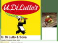 ugodilullo.com