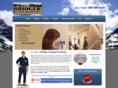 bridgerheating.com