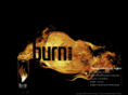 burn.pl