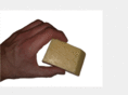 carpecaseus.com