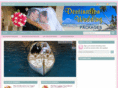 destinationweddingpackagesinfo.com