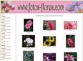 fotos-flores.com