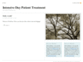 intensivedaypatienttreatment.com